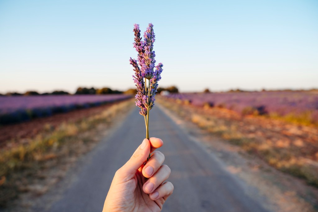 6월 국내 여행지 추천, 지역축제와 함께 즐기는&nbsp;여행!